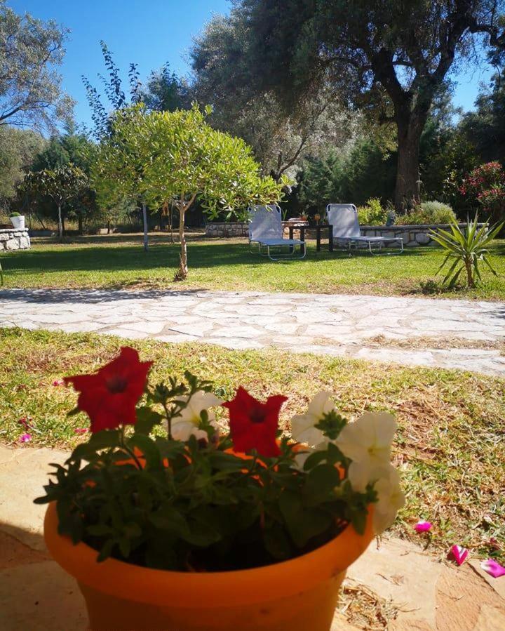 Appartamento oli terra Lefkáda Esterno foto